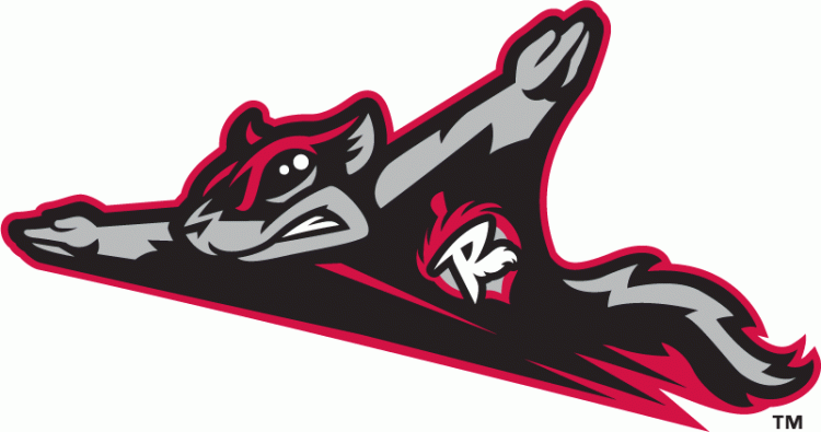 Richmond Flying Squirrels 2010-Pres Primary Logo iron on transfers for clothing